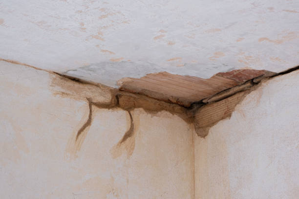 Best Carpet water damage restoration  in Orangevale, CA