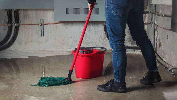 Best Flooded house restoration  in Orangevale, CA