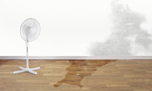 Best Ceiling water damage repair  in Orangevale, CA