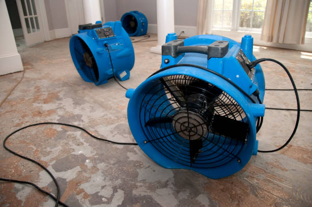 Best Flood restoration services  in Orangevale, CA