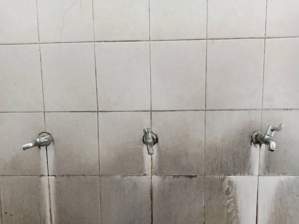 Best Professional water damage repair  in Orangevale, CA