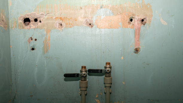  Orangevale, CA Water damage restoration Pros