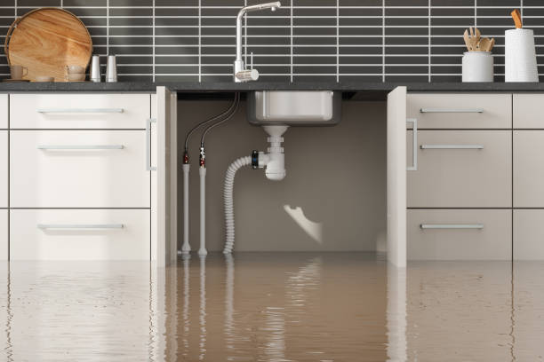 Best Basement water damage restoration  in Orangevale, CA