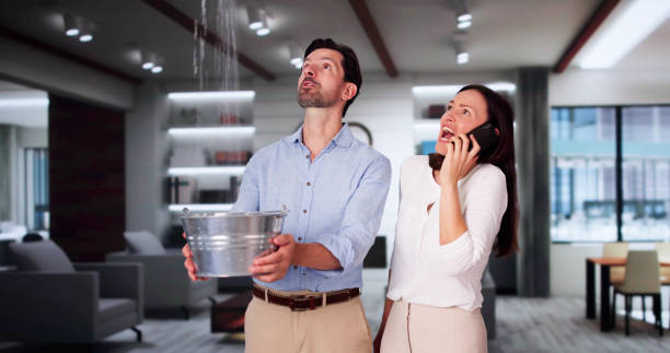 Best Water damage restoration near me  in Orangevale, CA